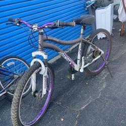 Genesis 26 Inch Bike 