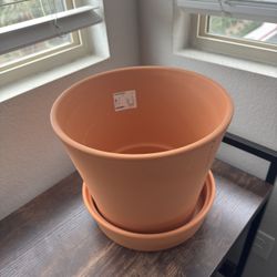 Flower Pot 