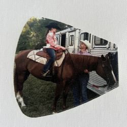 Peel And Stick Bow Tie Patch 