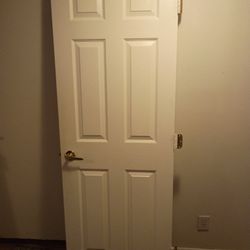 Modern White Door