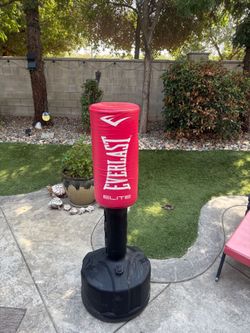 Everlast® Elite Freestanding Heavy Bag