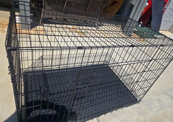 dual foor kennel Large 3.11 ftx2.8 ftx2.5ft