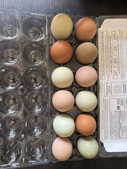 Farm fresh organic eggs