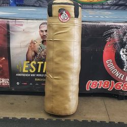 Punching Bag 