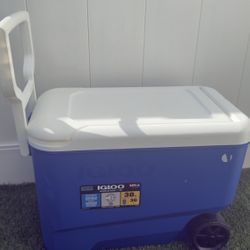 selling a 36l Igloo cooler with a handle.
