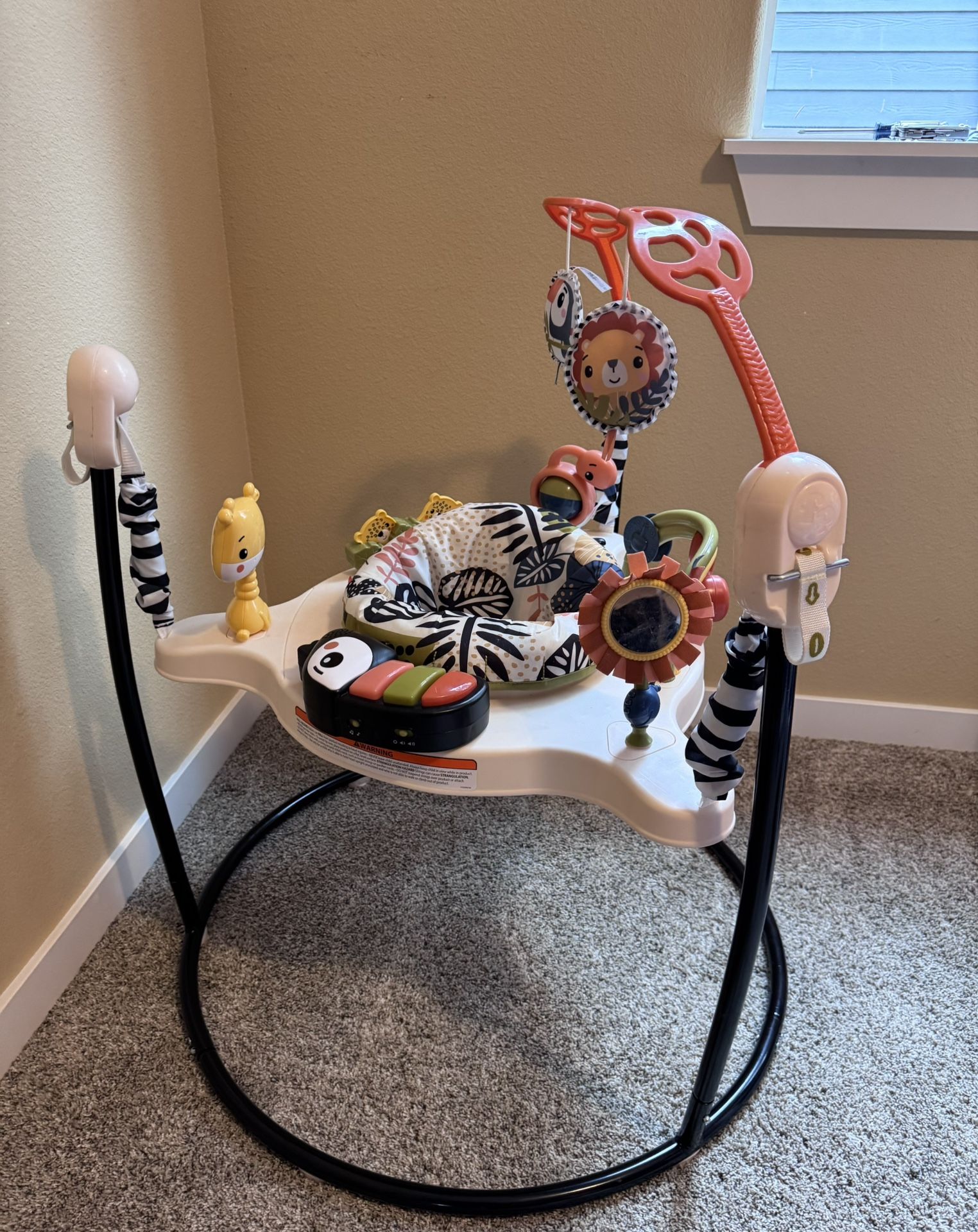 Fisher Price Baby Jumper / Bouncer