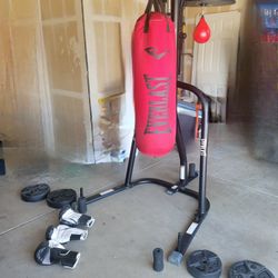 Everlast Mma Workout Station, Bag, Speedball, Weights, Gloves.