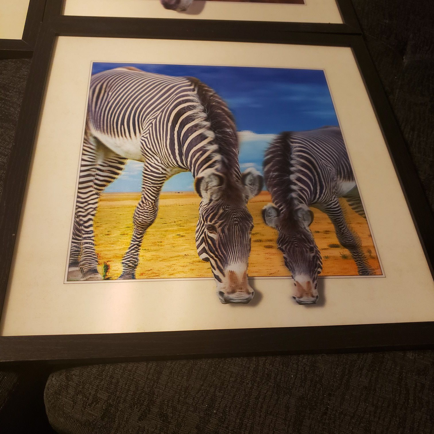 3D zebra picture with frame 17x17