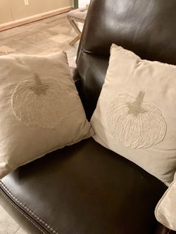 Beautiful Throw pillows (pumpkins/fall) set of 2