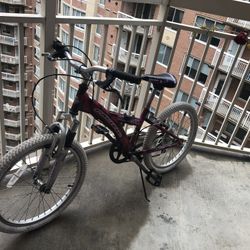 Bike , Windstorm , 20 Inch Weels 