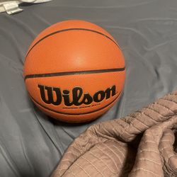 Wilson Basketball 