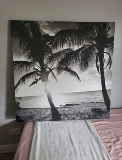 Large Black And White Canvas Beach And Plam Tree Print