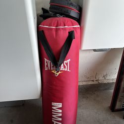 Everlast Punching Bag 