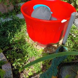 Clay Plant Diameter 16 In