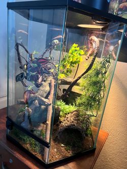 Terrario semi-nuevo  todo incluido