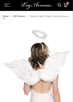 Angel,  Fairy, butterfly, devil Wings, Rainbow Wings P/up Near MLK/Craig