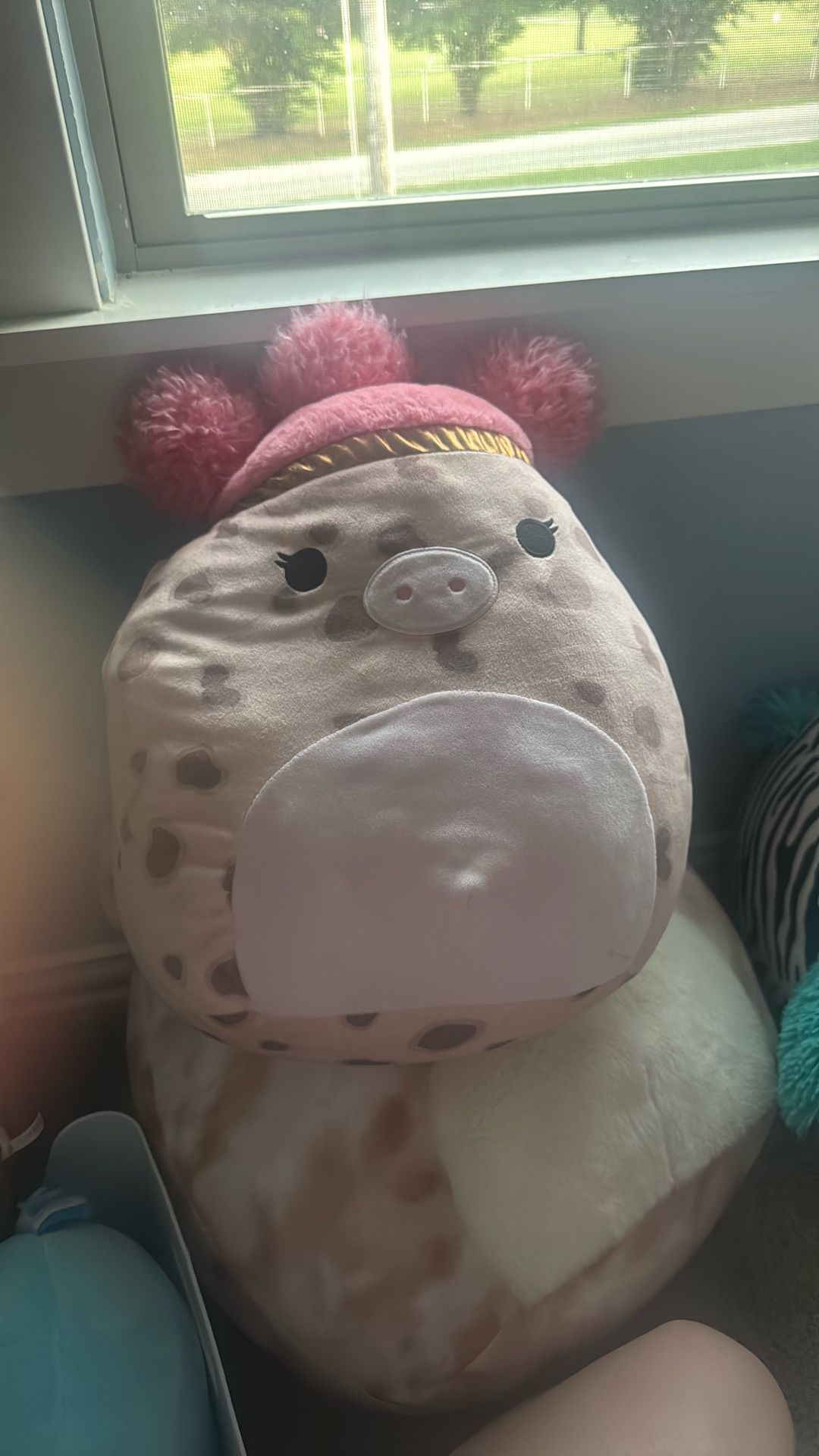 Squish-mellow cute pig!