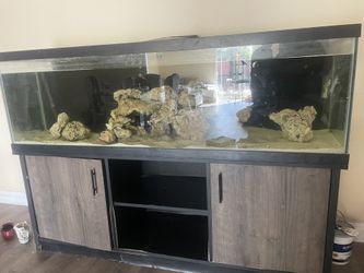 Fish Tank With Stand