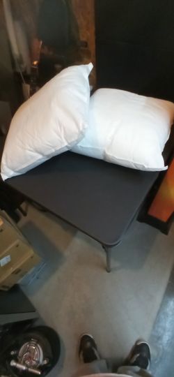 Brand New Throw Pillows Never Used 19x19 " Perfect For Couches ,Beds $10ea Or 4 For $30