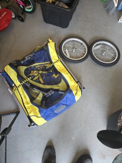 Pet/kid Bike Carrier