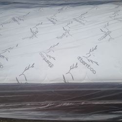 Brand New Queen Size Pillowtop Mattress And Box Spring Free Delivery Depends On Location 
