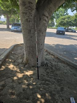 Penn Bay Master Fishing Rod
