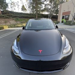 2024 Tesla Model Y Performance Black Black