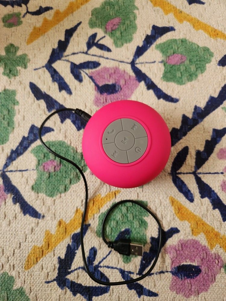Shower Speaker
