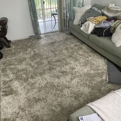 Rug / Carpet 
