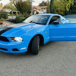 2010 Ford Mustang 
