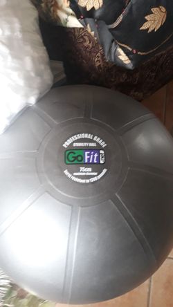 Go Fit Exercise Ball