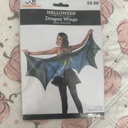 Dragon Wings Custome 