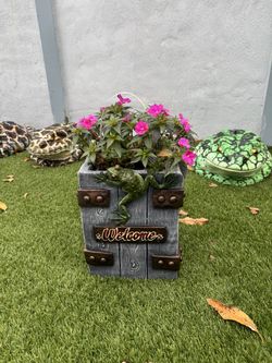 Planter with a frog