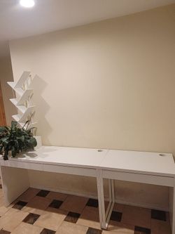 2 IKEA Desk   +  Bookshelf   +  Peace Lily Plant