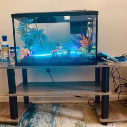 10gal Aquarium, 3 Tier Stand, Everything Included