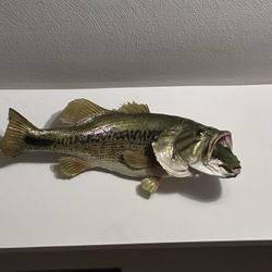 Largemouth Bass Skin Mount 