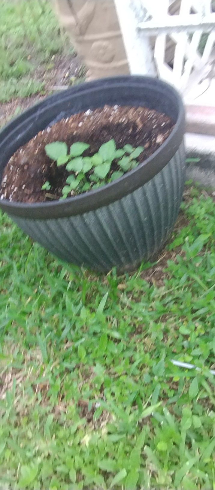 Large Plastic Plant Pots 