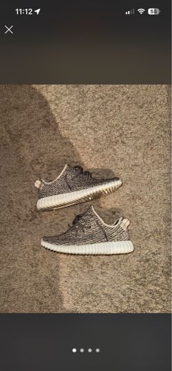 Yeezy 350 boost turtle dove
