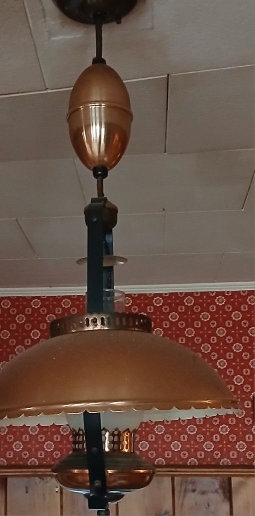 Vintage Retractable Copper Hanging Light With Egg All Original