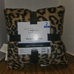 Set of 2 pillows