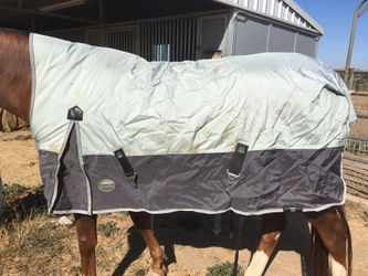 Weatherbeeta Taka Horse Blanket 72” medium weight