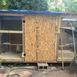 Chicken Coop 