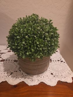 Better Homes & Gardens 9” artificial boxwood tree in a textured white ceramic pot.