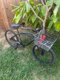 Bike Party and Grocery Getter cruiser G