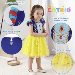 Girls Princess  Tulle Tutu Fancy  dress  2-4 years  