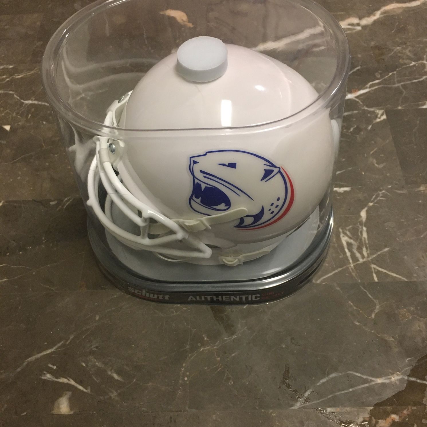 Vintage South Alabama Mini Helmet