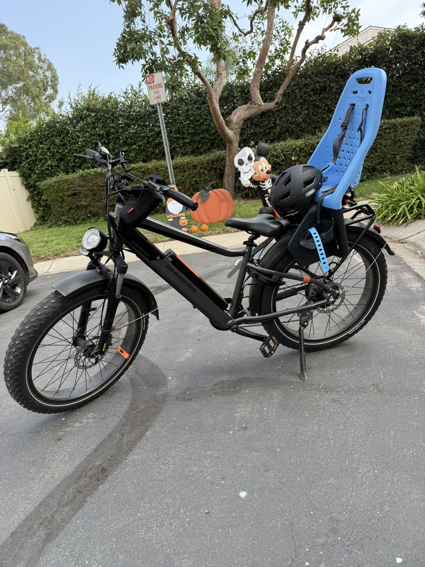 Radpower Electric Bike