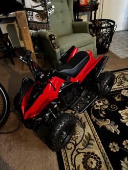 Go-Bowen Monster 36V 12AH Kids 500W Electric ATV