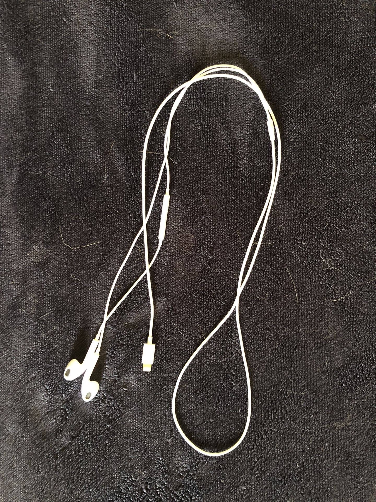 Apple Earbuds