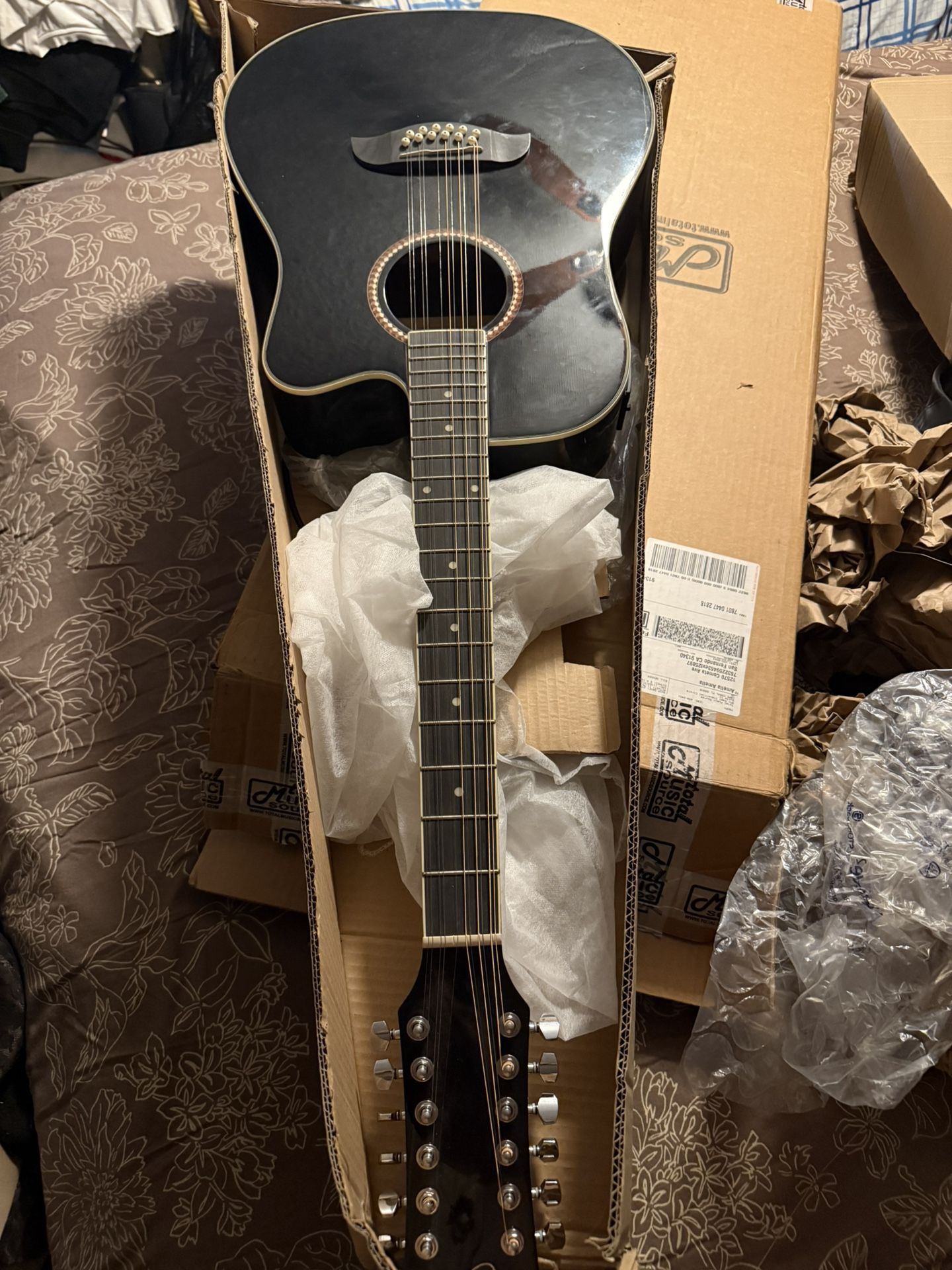 Bajo Sexto/guitar